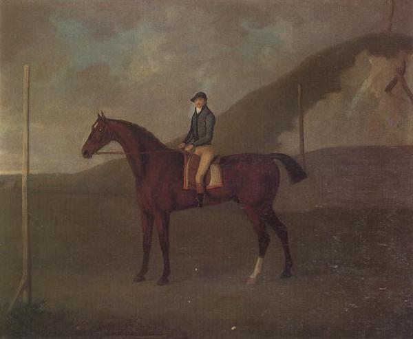 John Nost Sartorius 'Creeper' a Bay colt with Jockey up at the Starting post at the Running Gap in the Devils Ditch,Newmarket France oil painting art